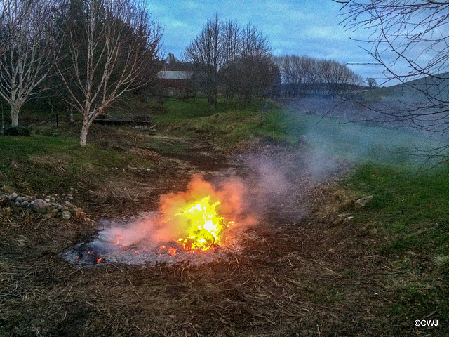 New Year's Day Bonfire