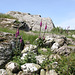 Bryn Celli Ddu