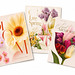 Spring Tableaux