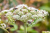 Wimmelbild - 20150812