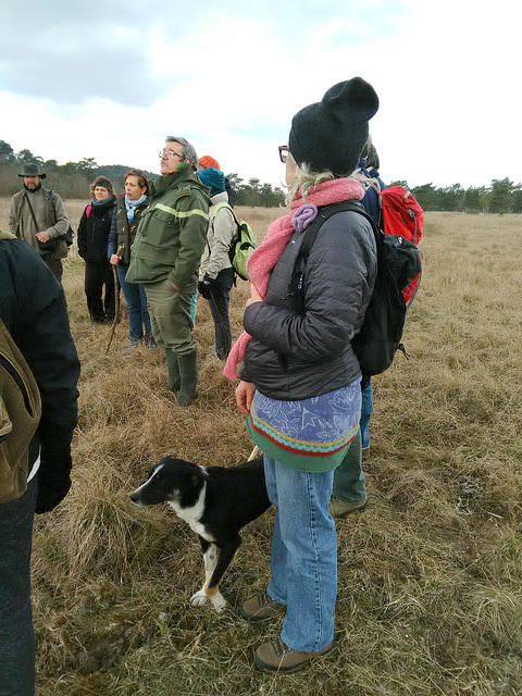 Transhumance du 16 mars 2016