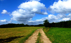 DE - Altenahr - Gottfried Kinkel Trail