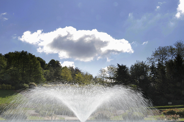 Formes d'eau