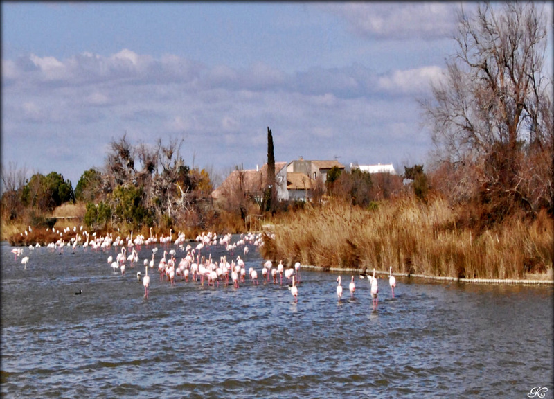 En procession .