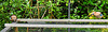 20210705 1328CPw [D~LIP] 2 Eichelhäher (Garrulus glandarius), Bad Salzuflen