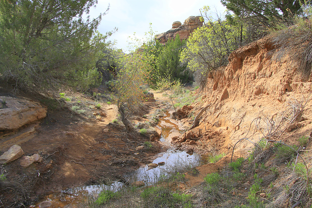 Peekaboo Trail