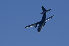 Flugzeug über Hagenbeck