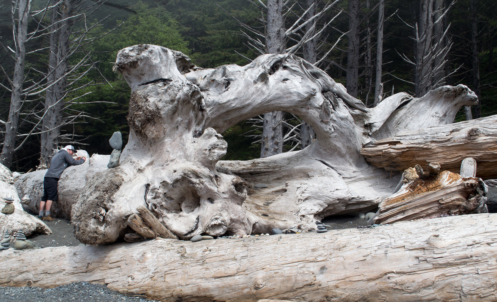 Rialto Beach WA (#1418)