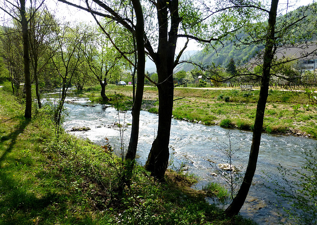 DE - Dernau - Frühling an der Ahr