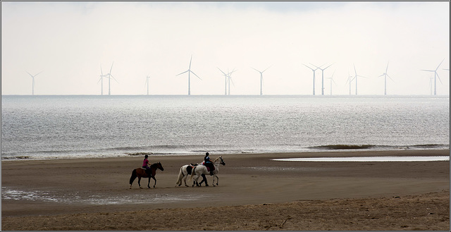 Beach Canter