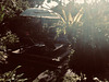 Ubud  Bali