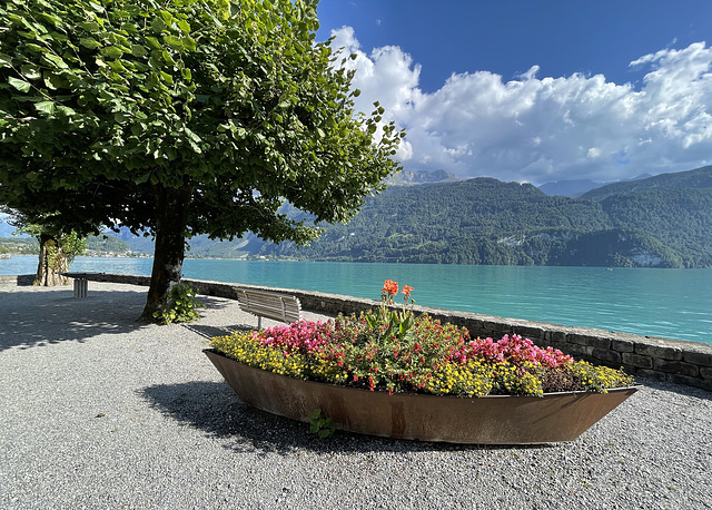 Brienz bench