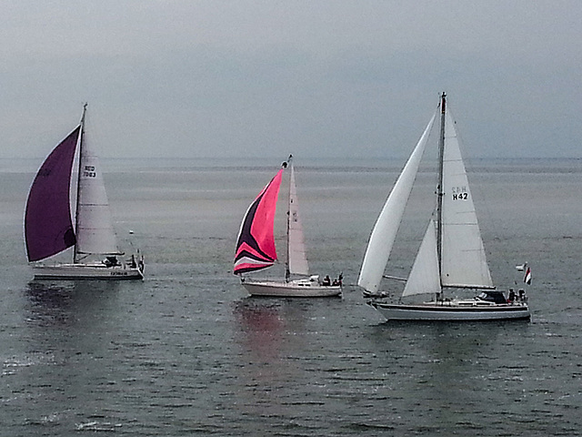 20140906 016Hw [NL] Überfahrt, Terschelling