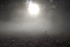 sculpture de brume par Fujiko (12)