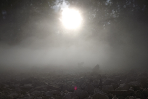 sculpture de brume par Fujiko (12)