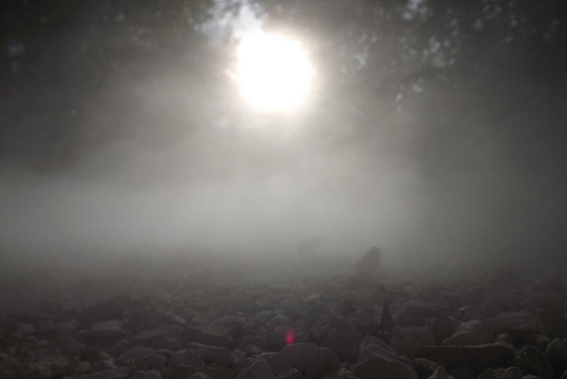 sculpture de brume par Fujiko (12)