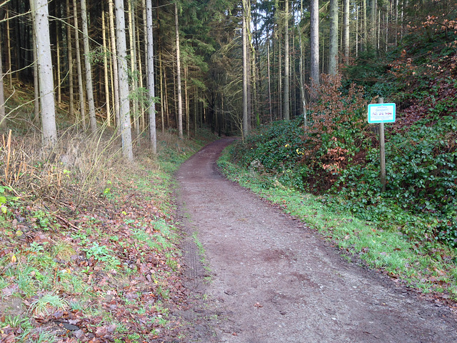 Füllhölzelweg