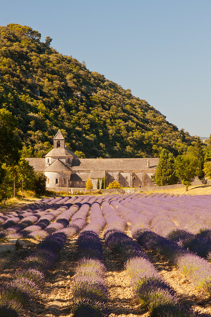 Abbaye Notre-Dame de Sénanque