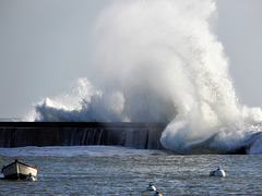 La mer du jour,,