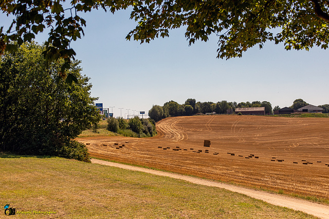 Nederlands-Limburg