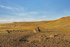 Steen's Mountain Landscape