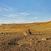 Steen's Mountain Landscape