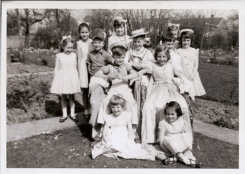 hp scanDS 972523362242