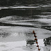 Last Winter Impressions (2)