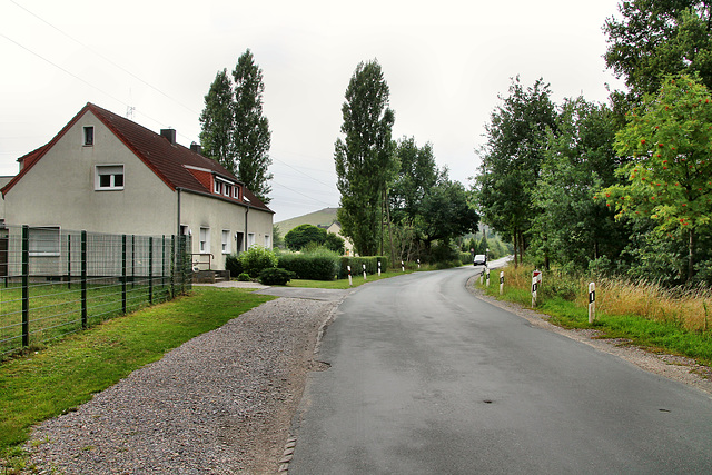 Am Brüchsken (Dinslaken) / 16.07.2017