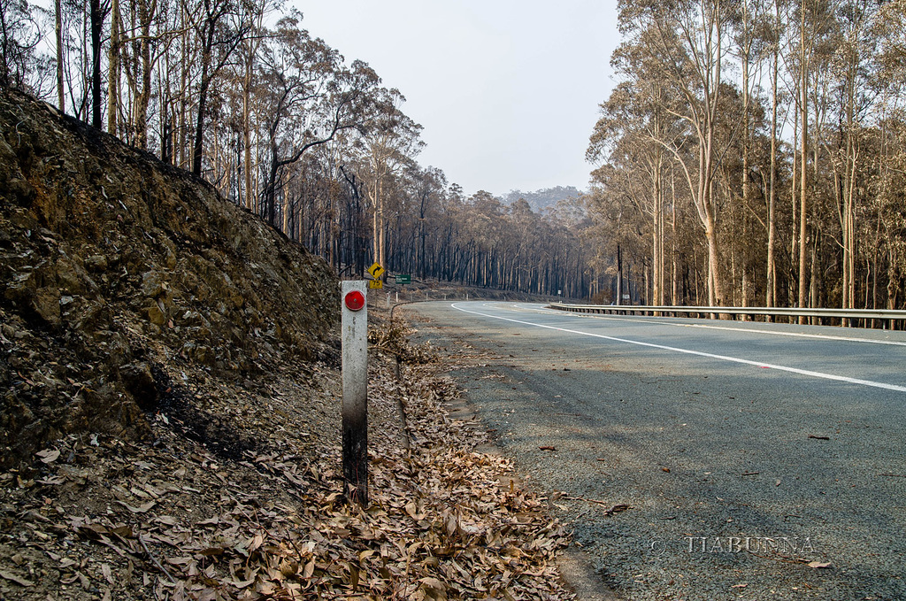 Along the highway