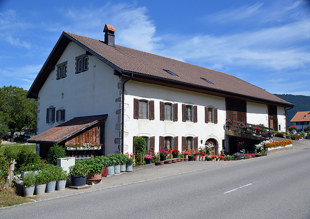 Blumenpracht an einem Haus in   Prêles  deutsch Prägelz