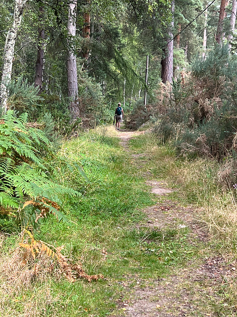 En route to Loch Romach