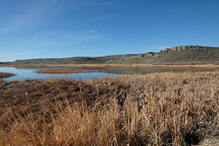 Buena Vista Pond