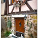 Eguisheim Herbst 24
