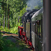 Sonderzug mit 50 3616-5 auf dem Weg nach Aue
