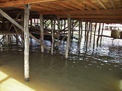 boat trip on Lake Inle