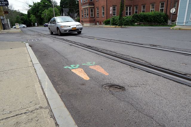 Carrot Lane