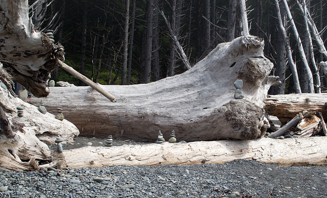 Rialto Beach WA (#1421)