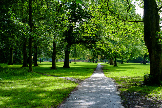 Manor Park paths