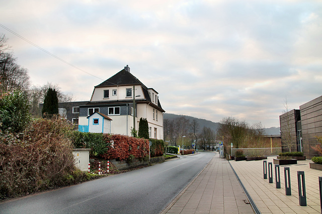 Deilbachtal (Essen-Kupferdreh) / 10.01.2021