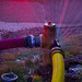 High Pressure at Hydrant