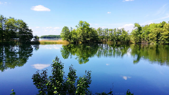 Der Schaalsee bei Lassahn