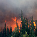 Saskatchewan Crossing Wildfire