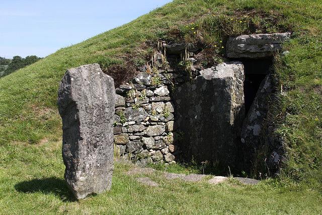 Bryn Celli Ddu