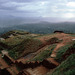 Auf dem Plateau des Löwenfelsens in Sigiriya