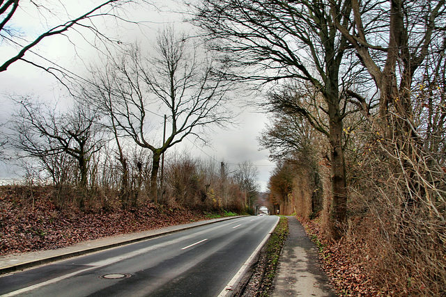 Holzwickeder Straße (Holzwickede-Opherdicke) / 25.12.2020