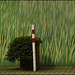 Greenpainting