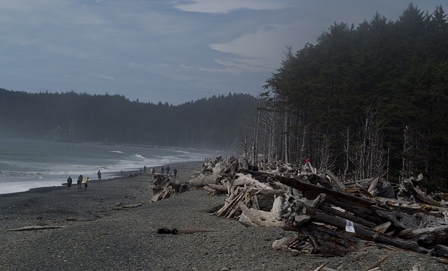 Rialto Beach WA (#1426)