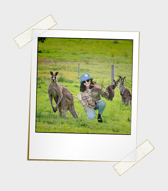 Marylou et les kangourous