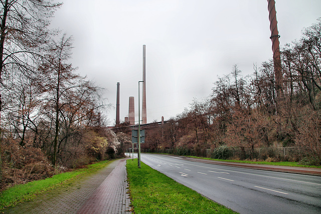 Alsumer Straße (Duisburg-Marxloh) / 8.01.2022